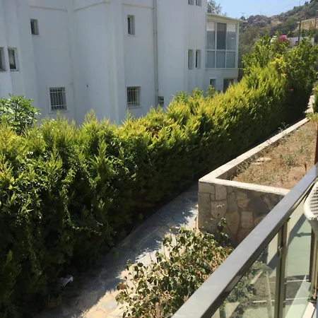 Palmiye Tatil Evi 度假居 *