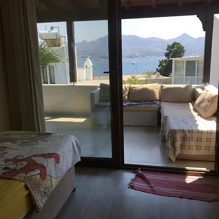 Palmiye Tatil Evi *