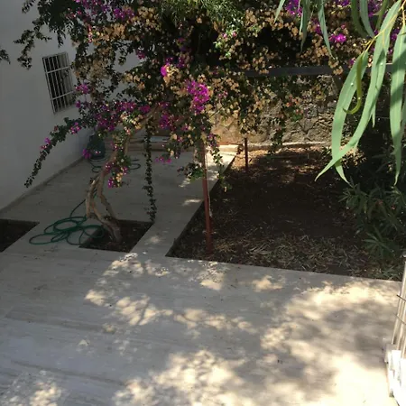 Palmiye Tatil Evi 度假居 *