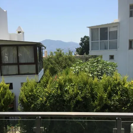 Palmiye Tatil Evi *