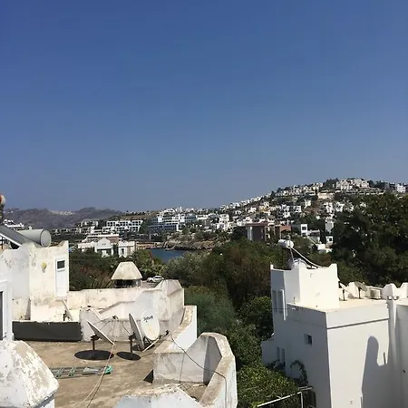 Palmiye Tatil Evi 度假居 *