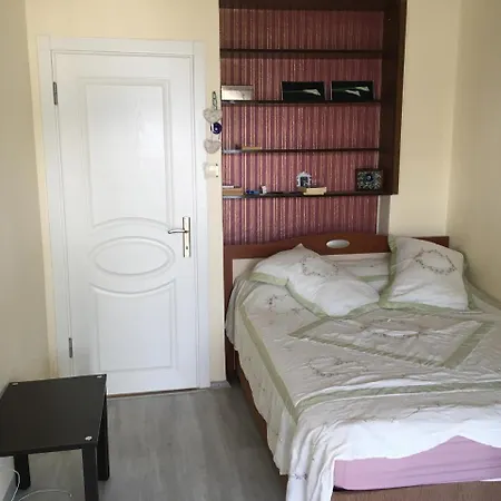 Palmiye Tatil Evi * 亚力卡瓦克