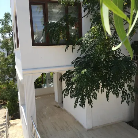 Palmiye Tatil Evi 度假居