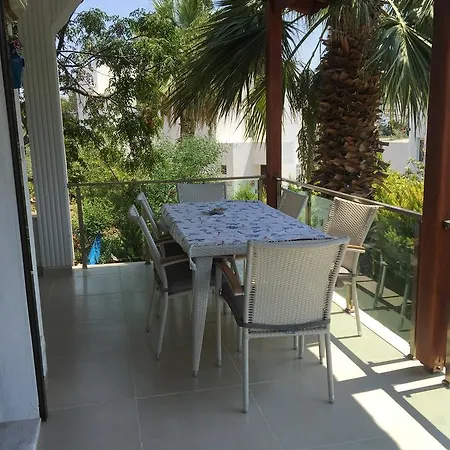 度假居 Palmiye Tatil Evi *