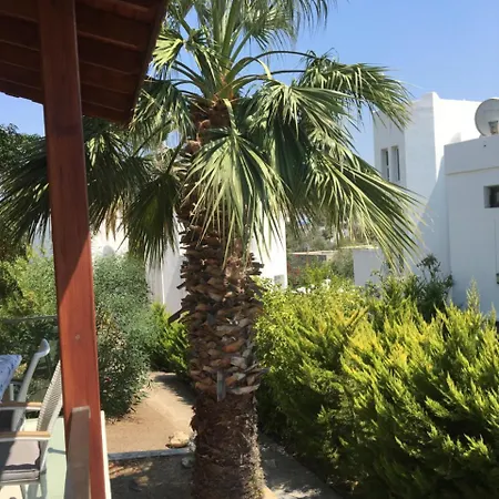 Palmiye Tatil Evi 度假居 亚力卡瓦克