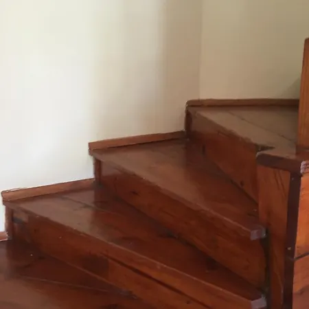 度假居 Palmiye Tatil Evi